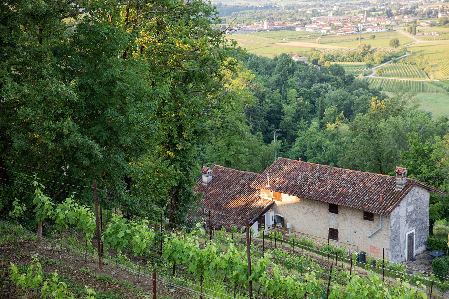 Casa Bianca – Scuderia