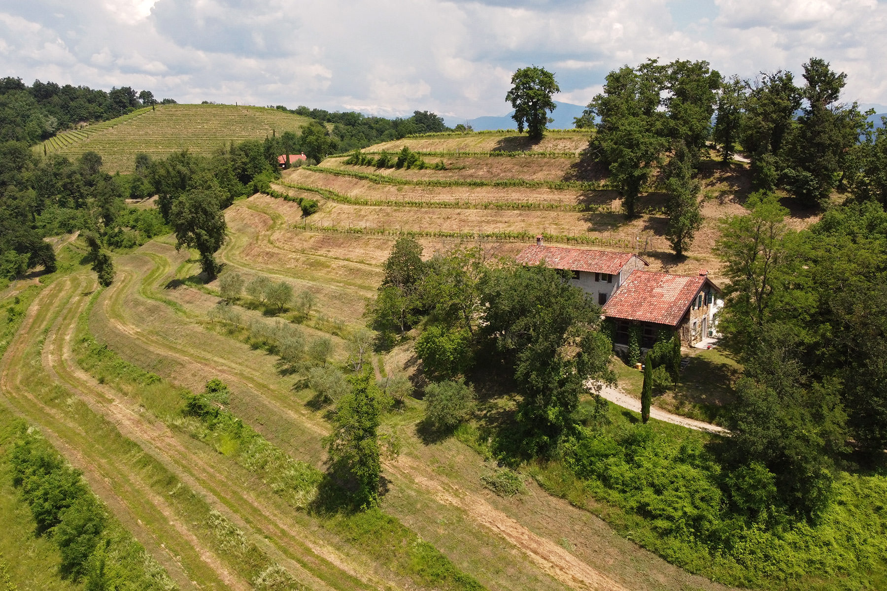 Casa Bianca – Torre